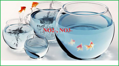 Nước nhiễm Nitrat, nitrit, amoni có nguy hiểm và cách xử lý